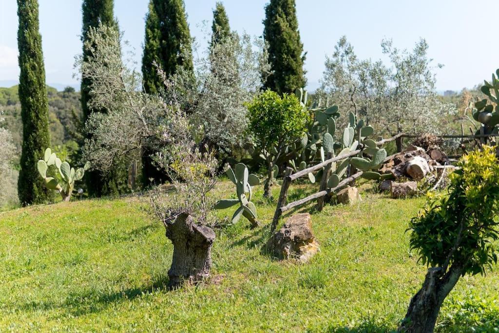 Agriturismo De Santis Castiglioncello Exteriör bild