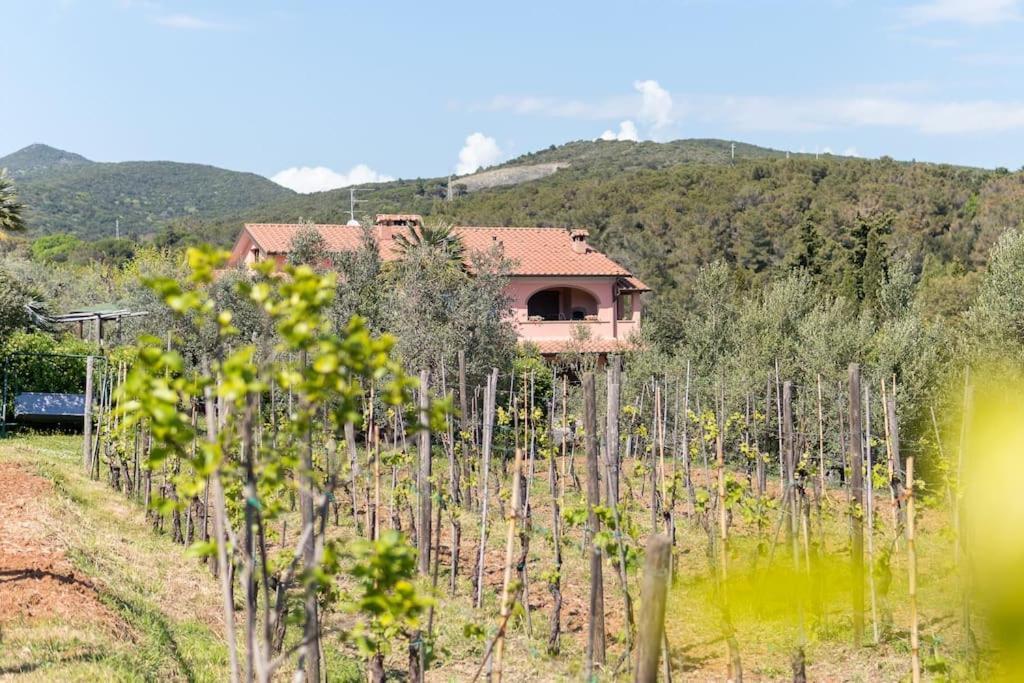 Agriturismo De Santis Castiglioncello Exteriör bild