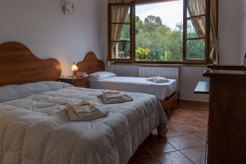 Agriturismo De Santis Castiglioncello Exteriör bild
